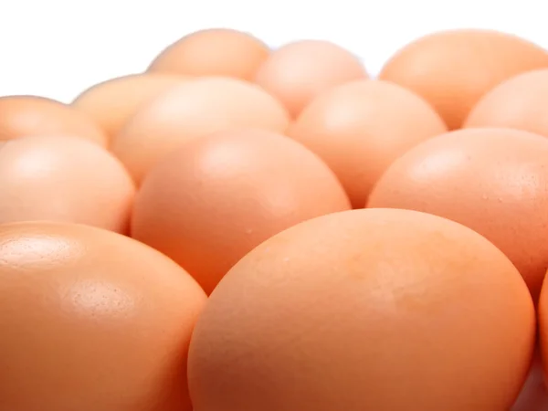 stock image Eggs