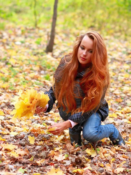 Long-haired girl in autumn wood — Stock Photo, Image