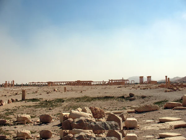 A cidade e oásis de Palmyra — Fotografia de Stock