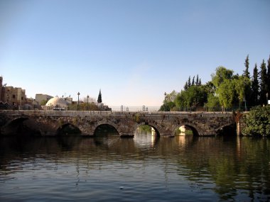 The ancient bridge in Hama clipart