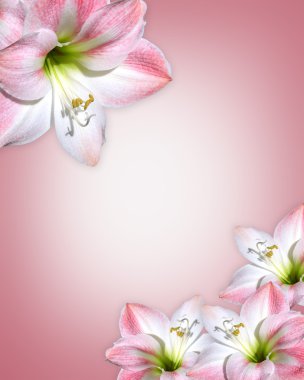 Amaryllis pink flower Border clipart