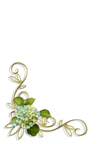 Hortensien florales Eckdesign — Stockfoto