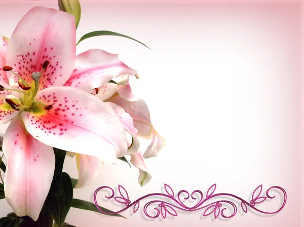 Asian lily blommor inbjudan — Stockfoto
