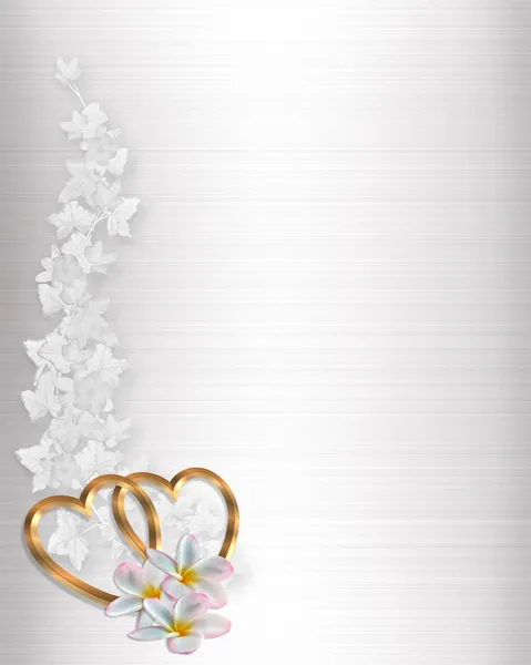 Wedding Invitation Border White Satin — Stock Photo, Image