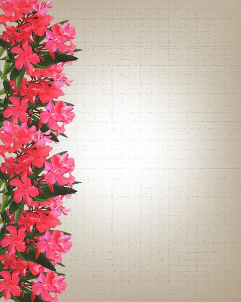 Oleandro aquarela flores artigos de papelaria — Fotografia de Stock