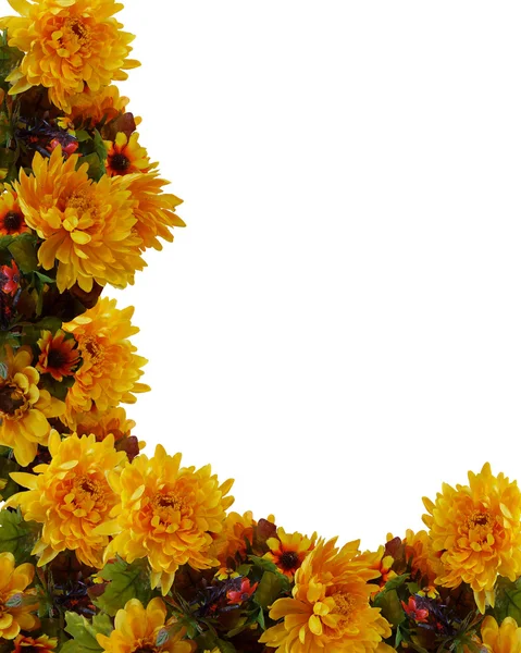 Autumn Fall Floral Background Border — Stock Photo, Image