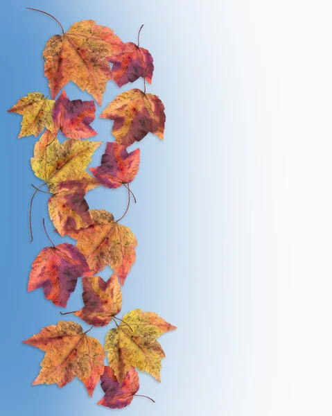 Outono Queda Folhas Fronteira — Fotografia de Stock