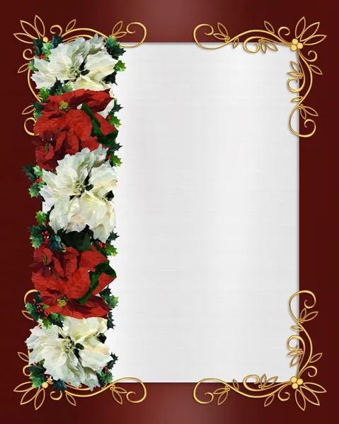 Kerstmis grens Poinsettia — Stockfoto