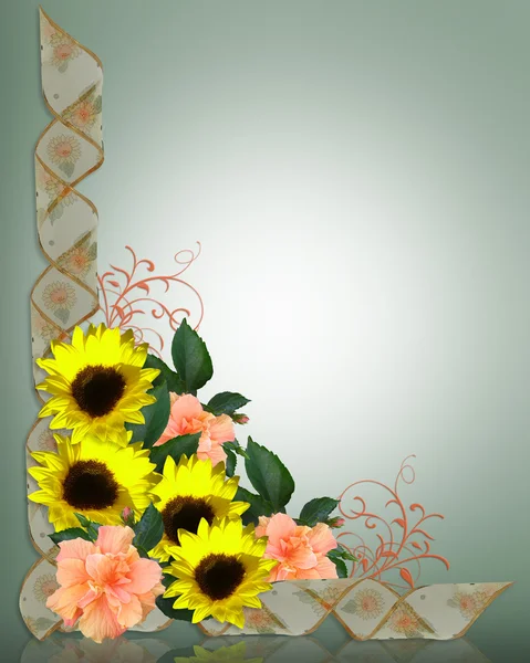 Sonnenblumen und Hisikusrand — Stockfoto