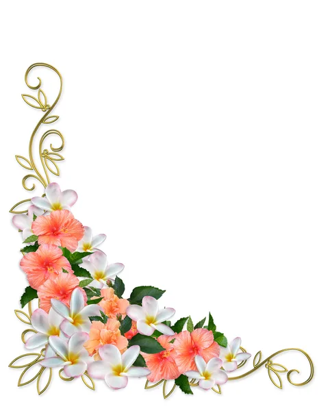 열 대 꽃 디자인 코너 — 스톡 사진