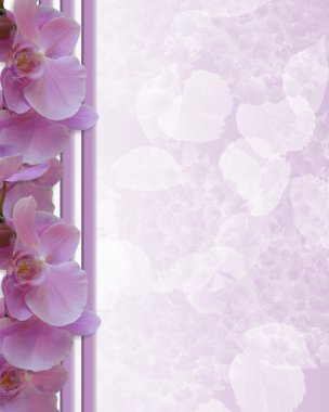 Lavender Orchids Border