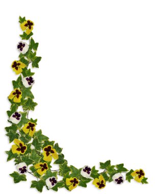 Ivy and Pansies Floral Border clipart