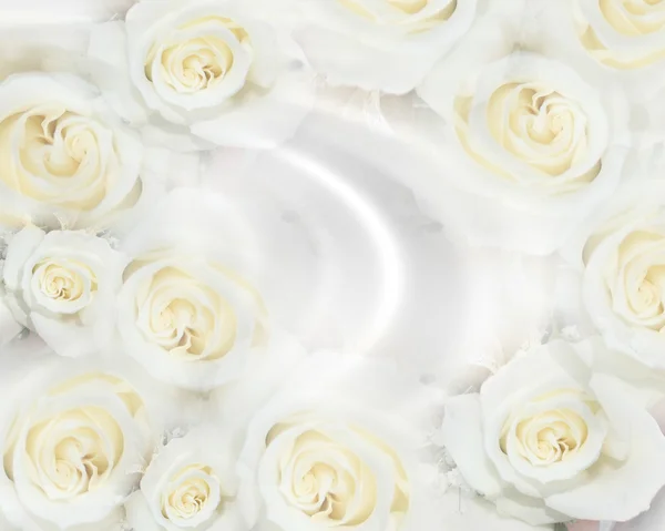 Svatební pozvání bílé růže — Stock fotografie