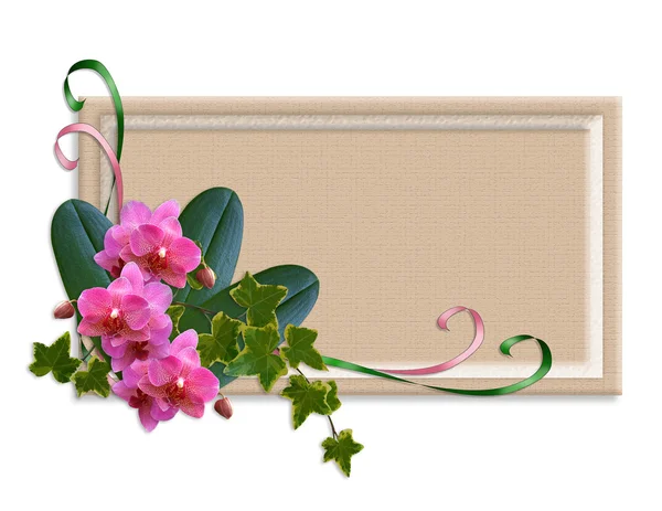 Orchids and ivy border label — Stock Photo, Image