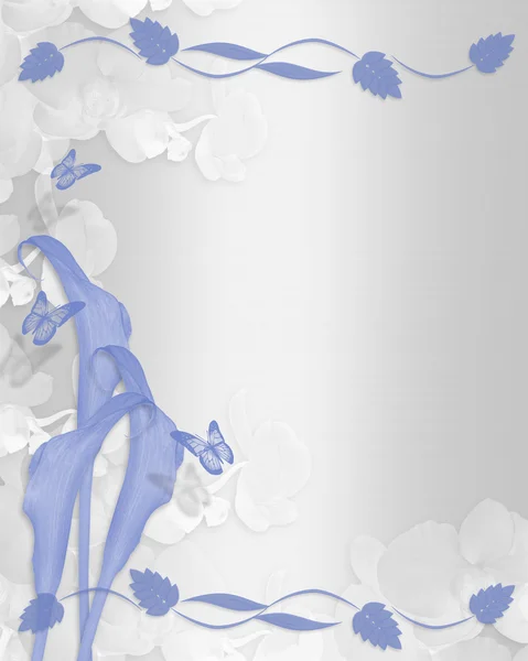 青いユリ飾り ☆ シャッパン花柄ボーダー — ストック写真