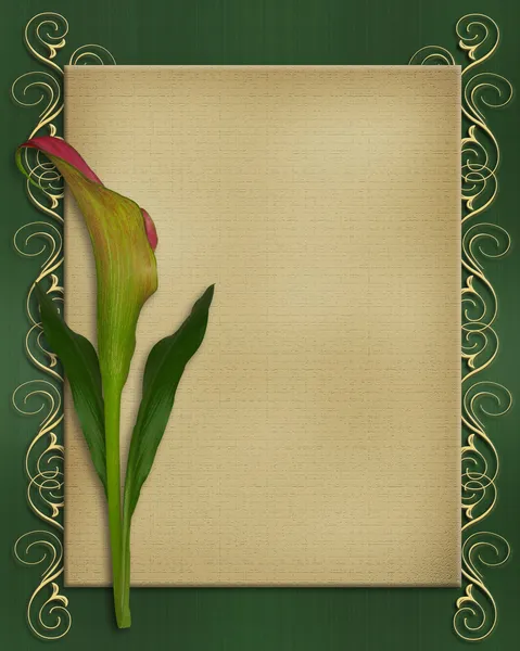 Шаблон пригласительной карты Calla Lily — стоковое фото