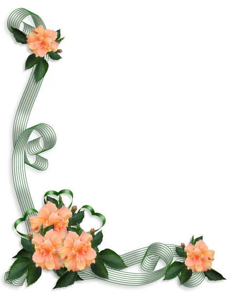Floraler Rand Einladung Pfirsich Hibiskus — Stockfoto