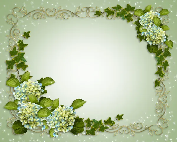 Klimop en hortensia floral grens invitati — Stockfoto