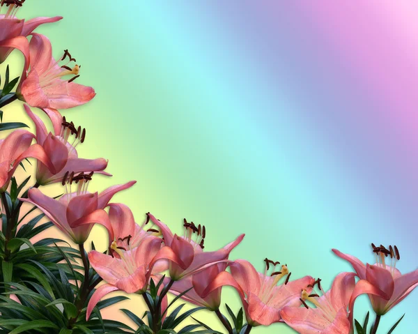 Çiçek sınır davet pembe lilyum — Stok fotoğraf