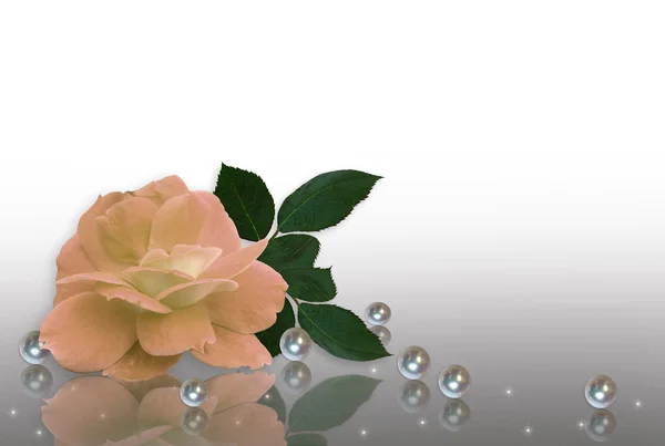 Wedding Invitation Peach rose and pearls — Stock Photo, Image
