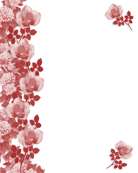 Rote Rosen Rand einfarbig — Stockfoto