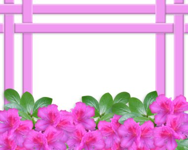 Azaleas Invitation Border clipart