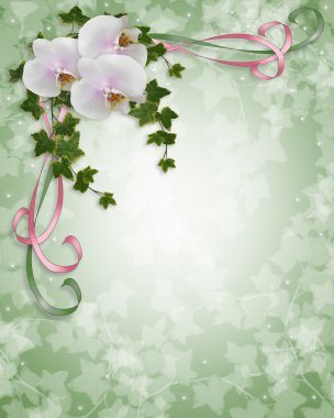 Orchids and ivy Wedding invitation clipart