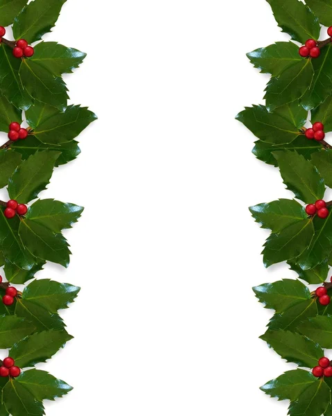 Confini di Natale Holly — Foto Stock