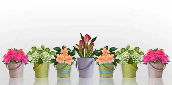 Floral border Flowers in containers — Stock Photo, Image