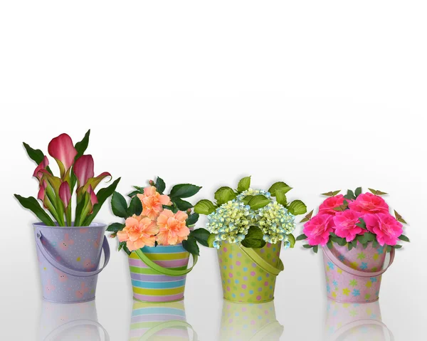 Blommig gränsen blommor i behållare — Stockfoto