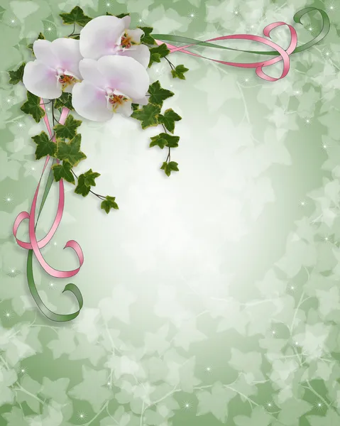 Orkidéer och ivy bröllopsinbjudan — Stockfoto
