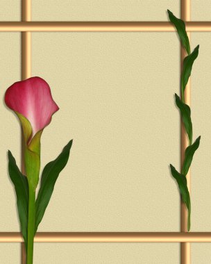Calla lily kenarlık çerçevesi