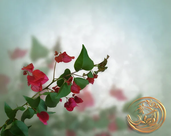 Floral bakgrund bougainvillea — Stockfoto