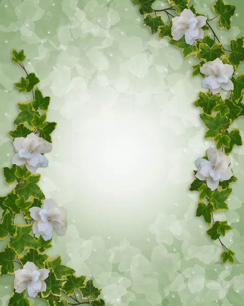 Kwiatowy granica bluszcz i gardenias — Zdjęcie stockowe