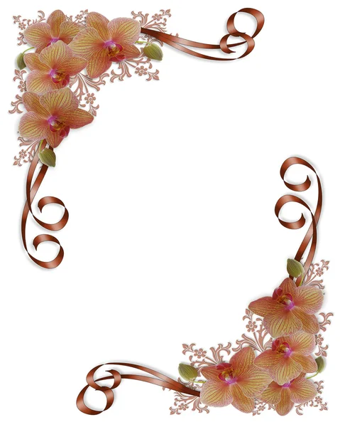 Storczyki wesele kwiatowy granicy — Zdjęcie stockowe