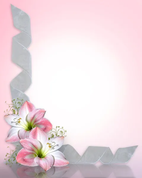Amarillide fiore rosa Confine — Foto Stock