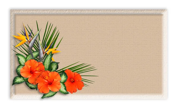 Tropische bloemen grens achtergrond — Stockfoto