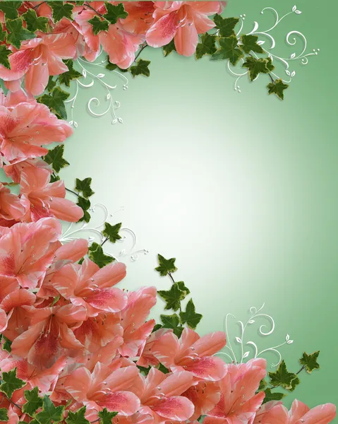 Invitación de boda azalea floral —  Fotos de Stock