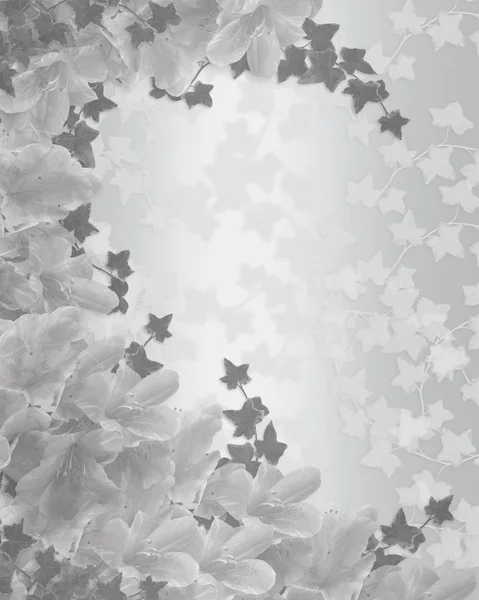 Wedding invitation white on white floral — Stock Photo, Image