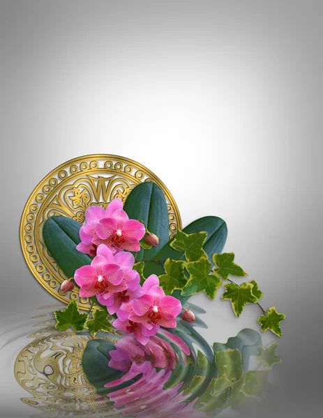Orchideák és a borostyán művészi design — Stock Fotó