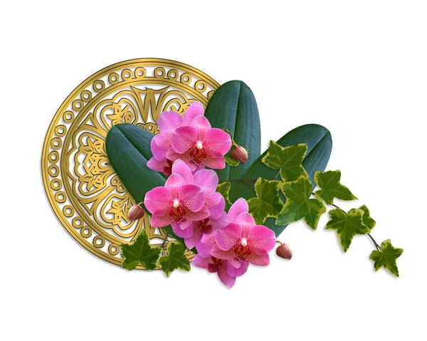 Orkide ve Ivy sanatsal çiçek tasarım — Stok fotoğraf