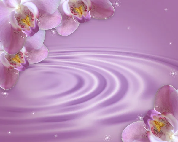 Orchideen auf Lavendelgrund — Stockfoto