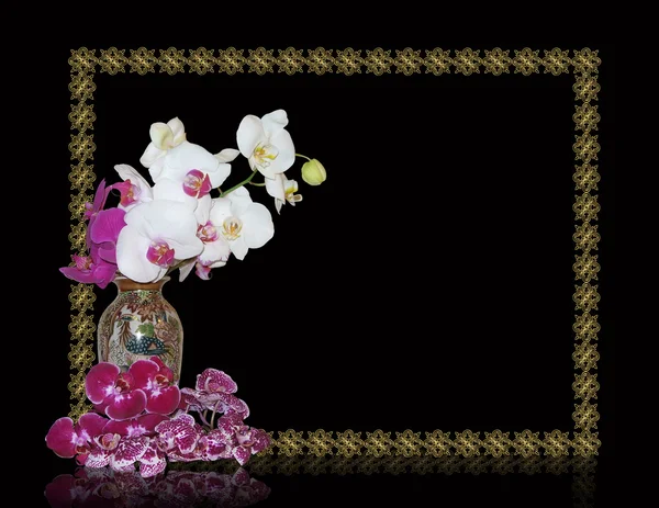 Orkidéer i orientalisk vas på svart — Stockfoto