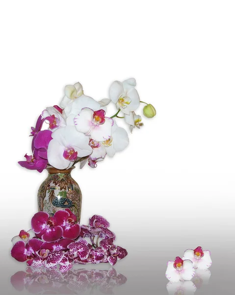 Орхидеи в восточной вазе натюрморт — стоковое фото