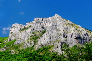 dağ jakupica, Makedonya