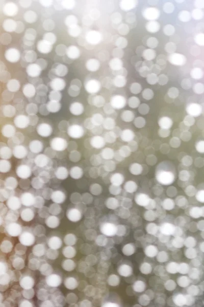 초점 비가 방울에서 — 스톡 사진