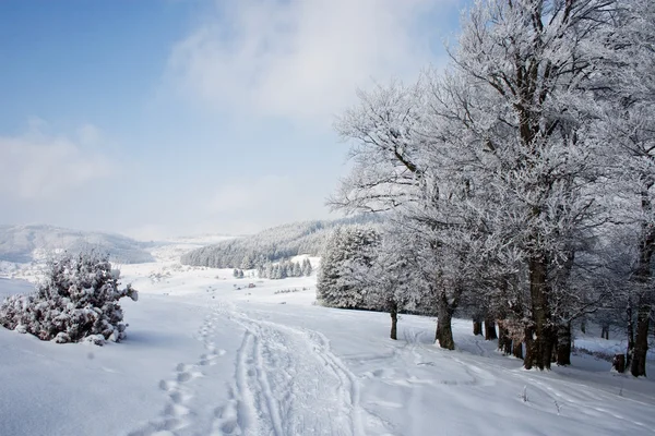 stock image Landscape from Krushevo, Macedonia