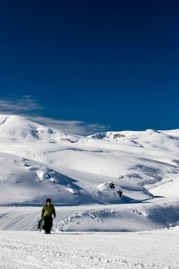 snowboard portre