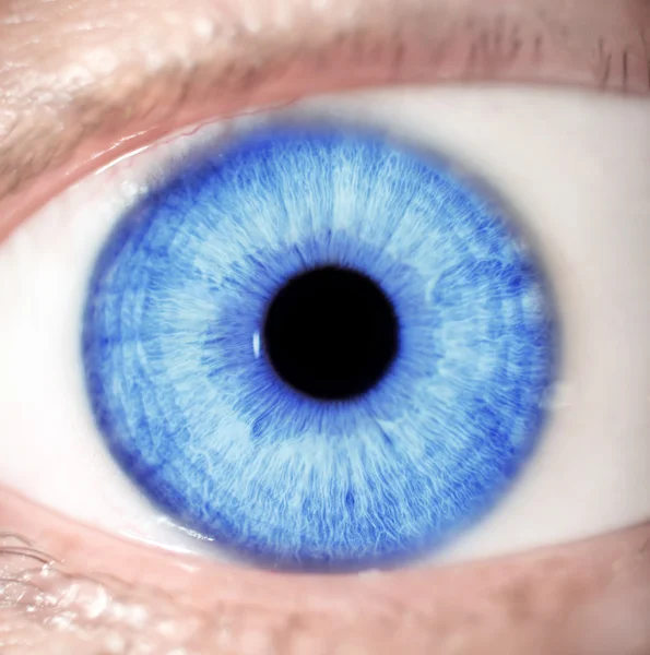 Mavi Göz — Stok fotoğraf