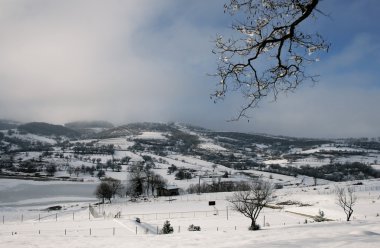 Makedonya bölgesinde krushevo